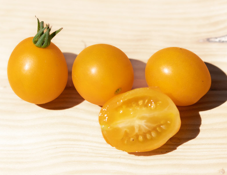 Cherry tomato "Yellow Centiflor", Черри томат Жёлтая сотня